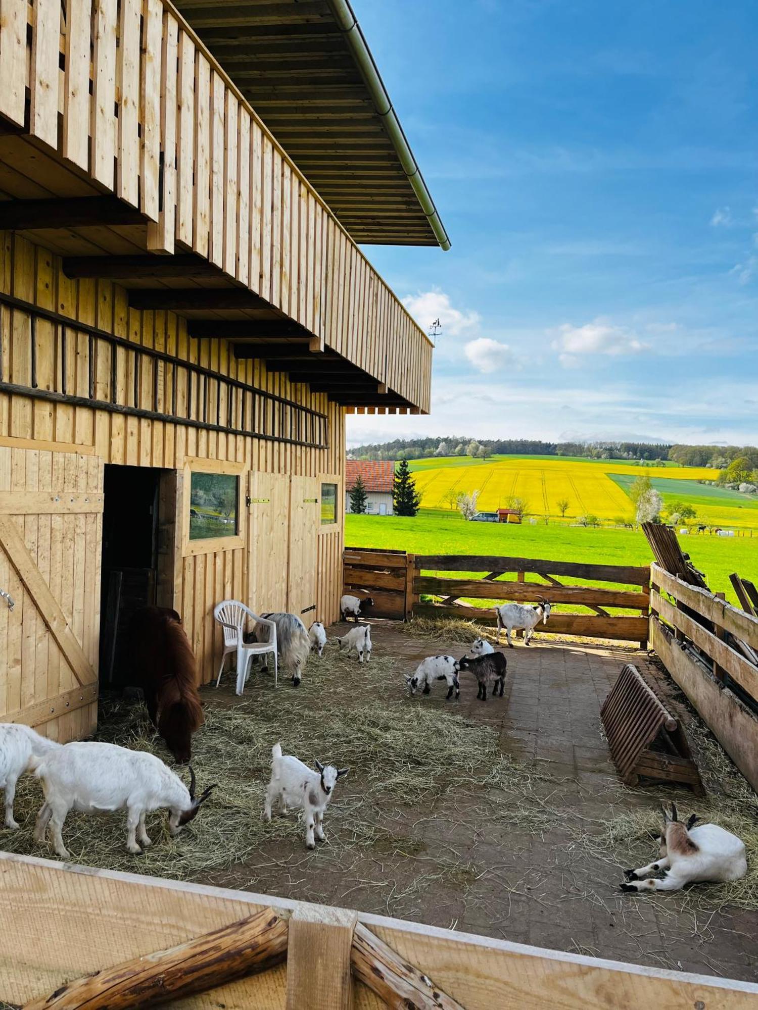 Ferienwohnung Peters Hünfeld Exteriör bild