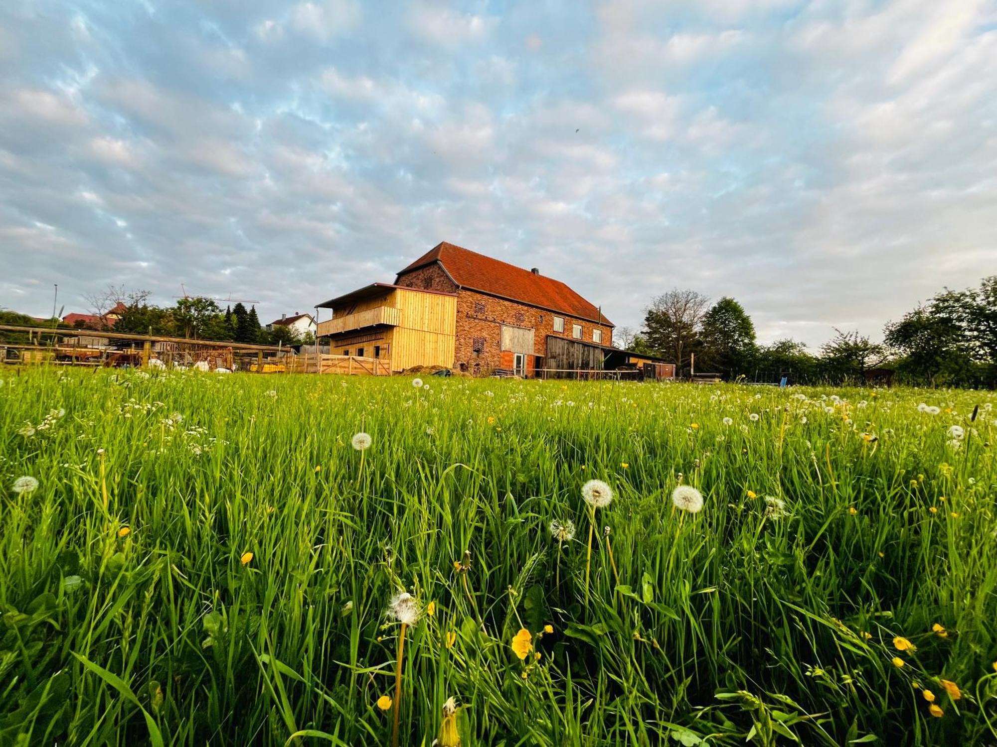 Ferienwohnung Peters Hünfeld Exteriör bild
